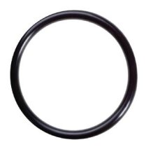 CP-OR55, O-RING FOR MEMBRANE FILTER HOUSING WaterGeneral Systems