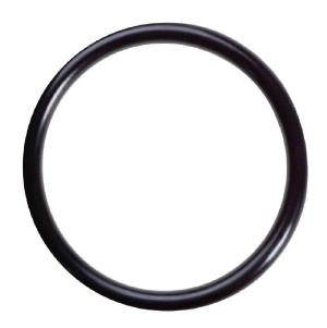 CP-OR55, O-RING FOR MEMBRANE FILTER HOUSING WaterGeneral Systems