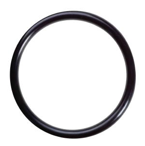 CP-KOR45, O-RING FOR KOOLERMAX BOTTOM FILTER HOUSING CASING